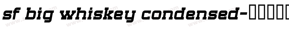 sf big whiskey condensed字体转换